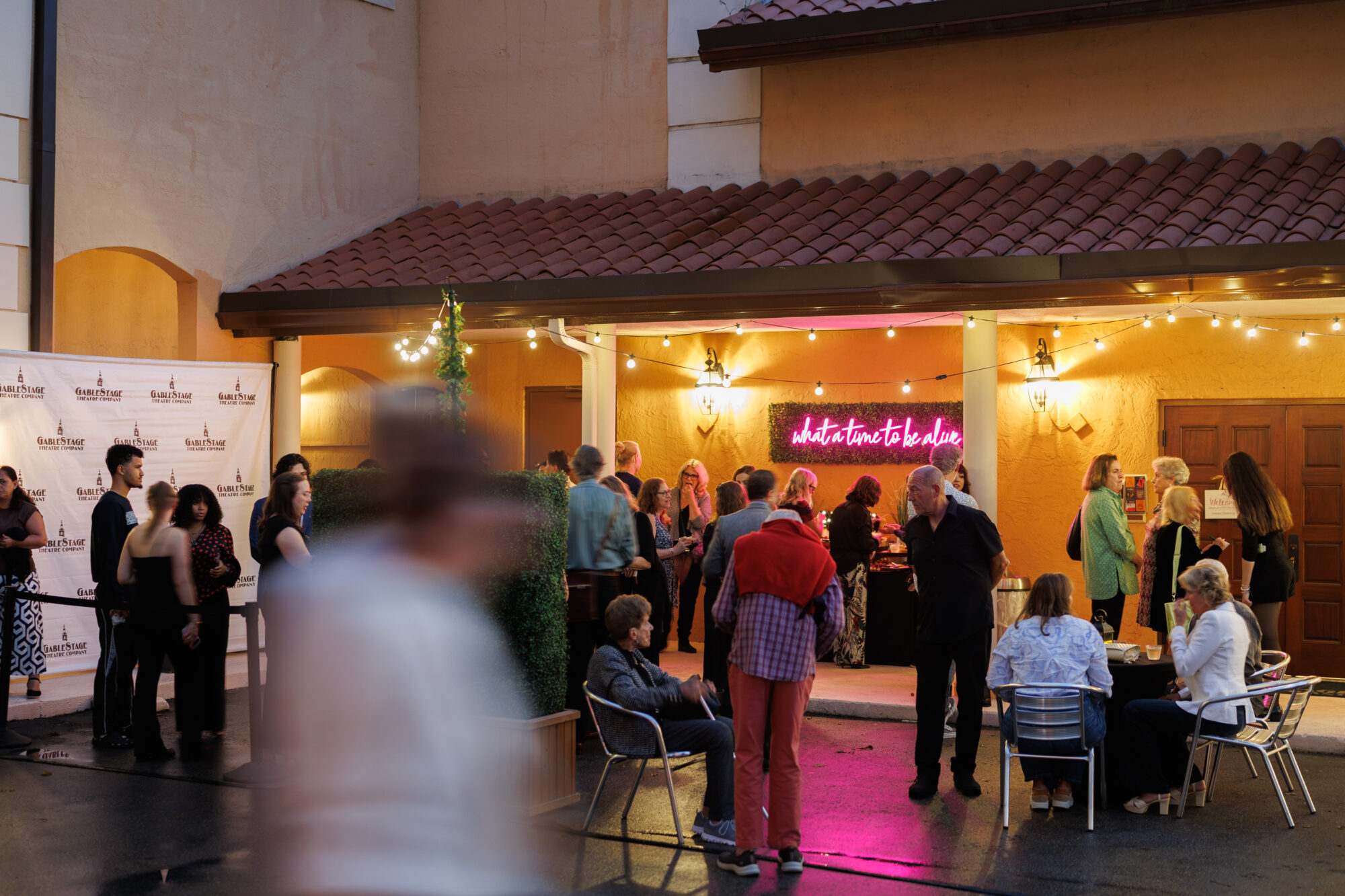 Harry Clarke Opening Night (52)